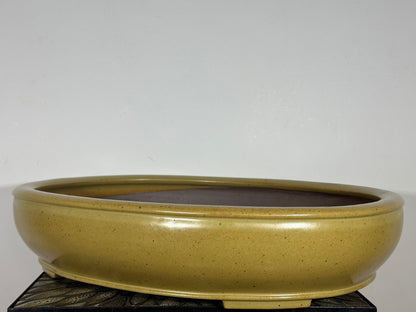 Preowned Japanese Tokoname Oval Bonsai Pot Reiho - 21.75” By 17.5”